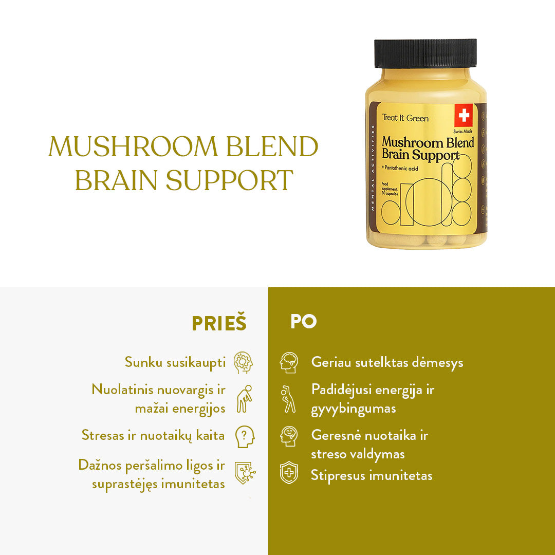 Mushroom Blend Brain Support (30 kaps)