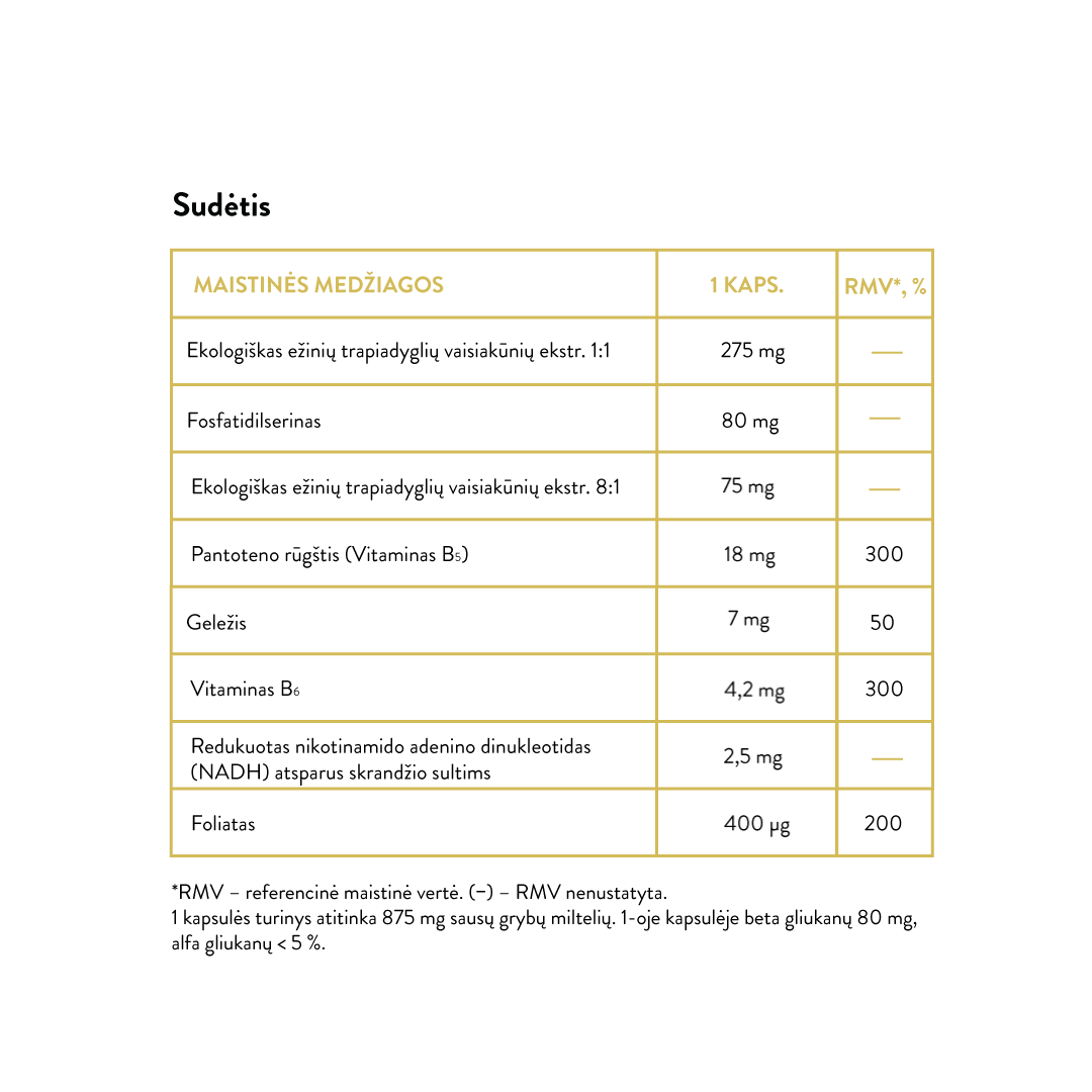 Mushroom Blend Brain Support (30 kaps)