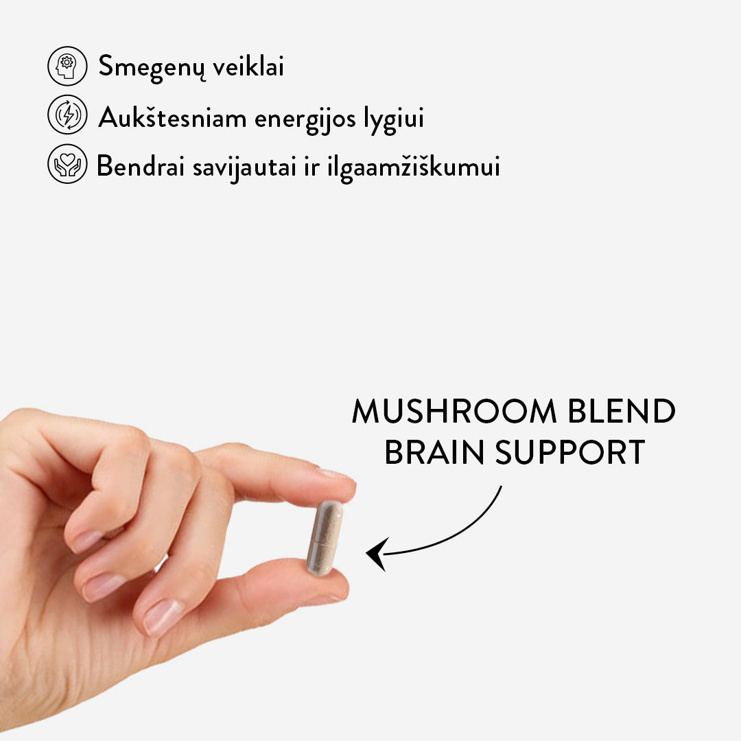 Mushroom Blend Brain Support (30 kaps)